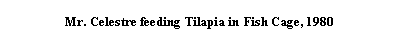 Tekstboks: Mr. Celestre feeding Tilapia in Fish Cage, 1980
